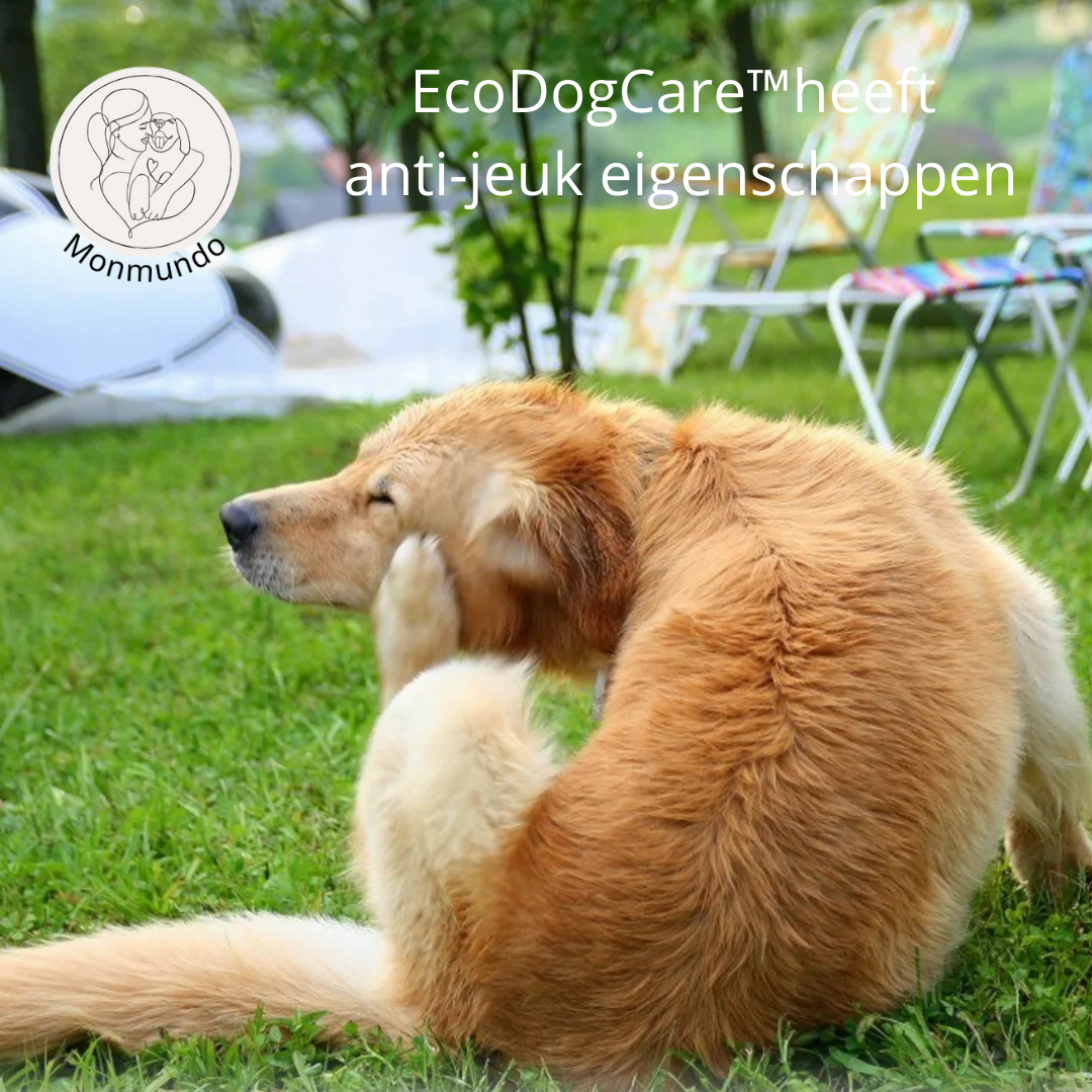 EcoDogCare Hypoallergene Biologische Honden Shampoo
