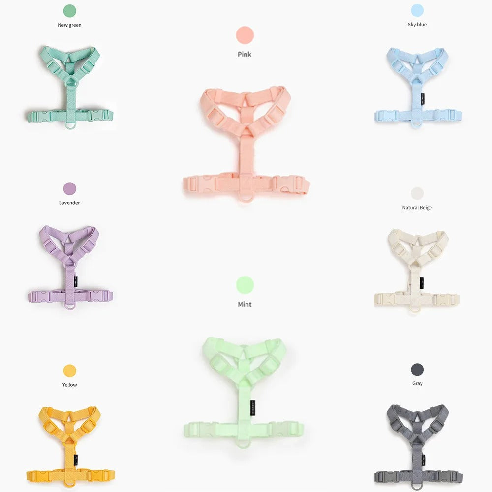 CandyPaws Collection - De Perfecte Set voor Jouw Kleine Vriend