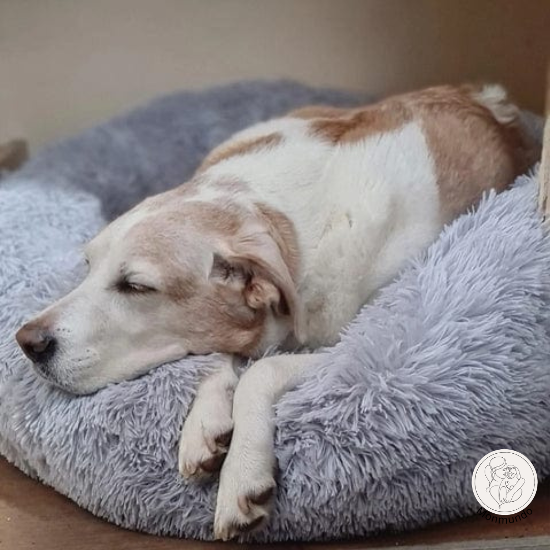 ComfortNest - Knuffel bed