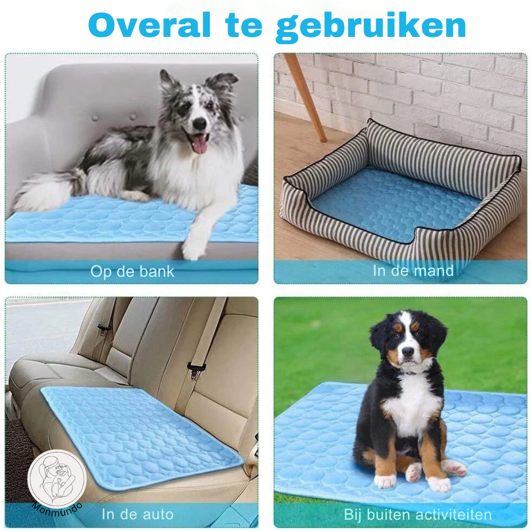CoolMate - De nummer 1 Koelmat voor Huisdieren
