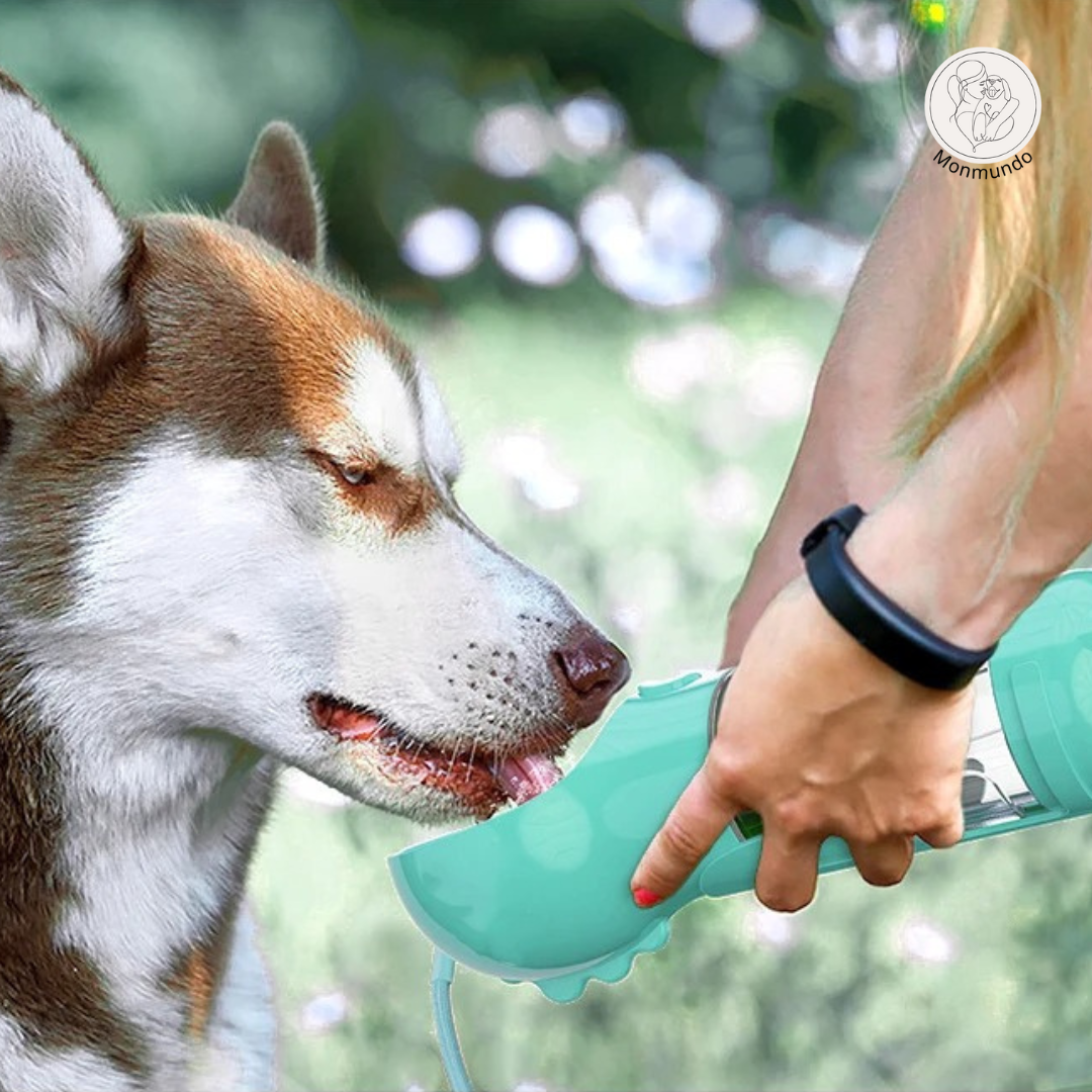 HydraBuddy  - de 3 in 1 honden waterfles