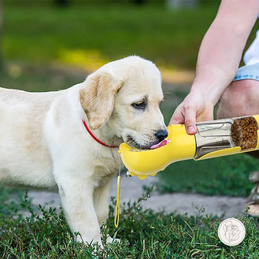 HydraBuddy  - de 3 in 1 honden waterfles