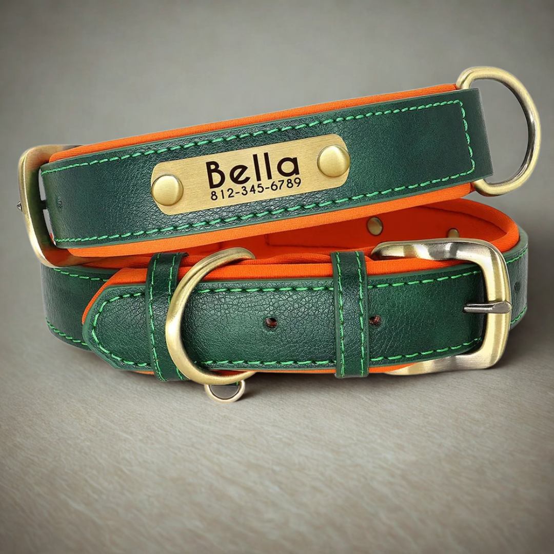 IDPaw Halsband