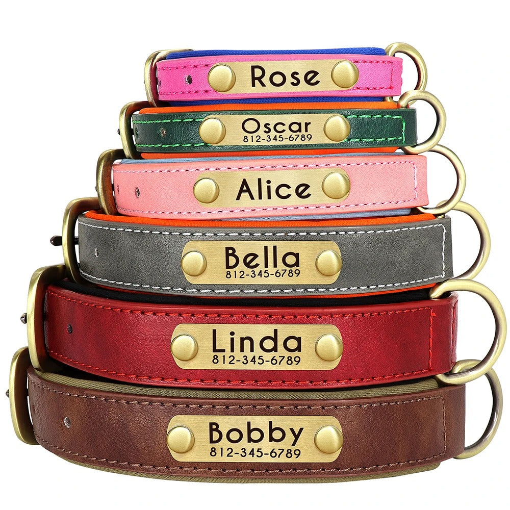 IDPaw Halsband