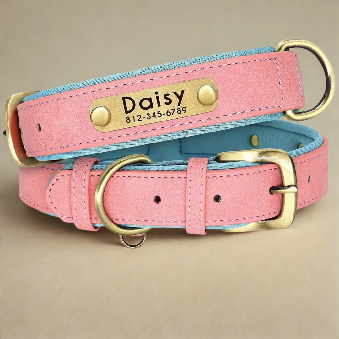 IDPaw Halsband