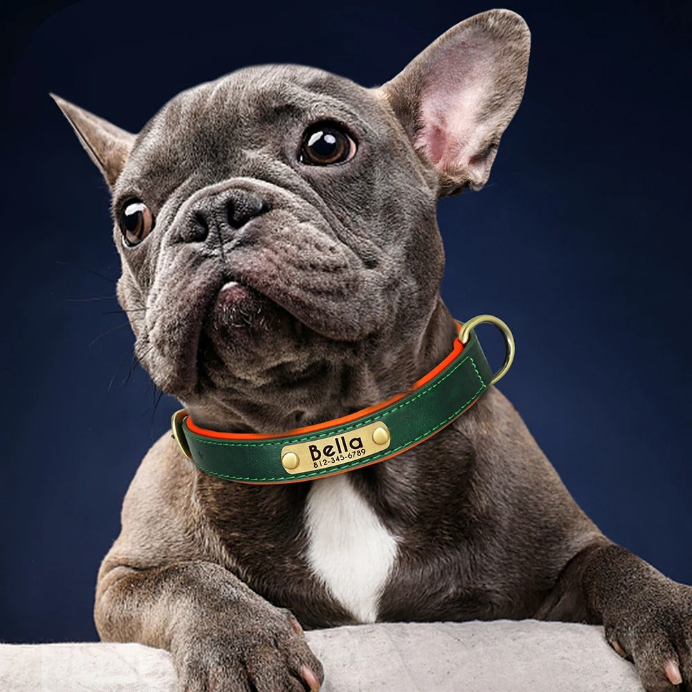 IDPaw Halsband