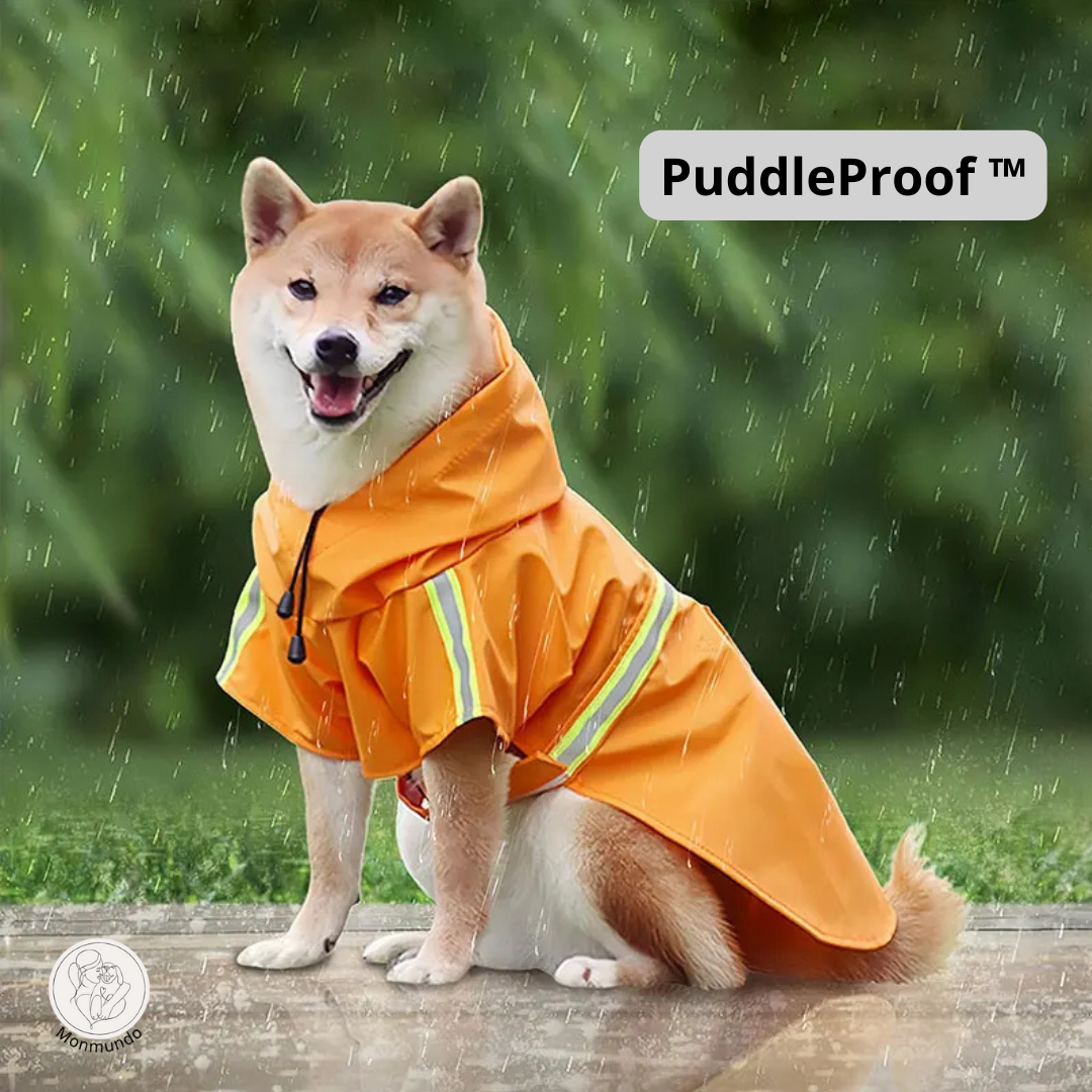 PuddleProof Hondenregenjas โ Waterdicht, Reflecterend & Comfortabel!
