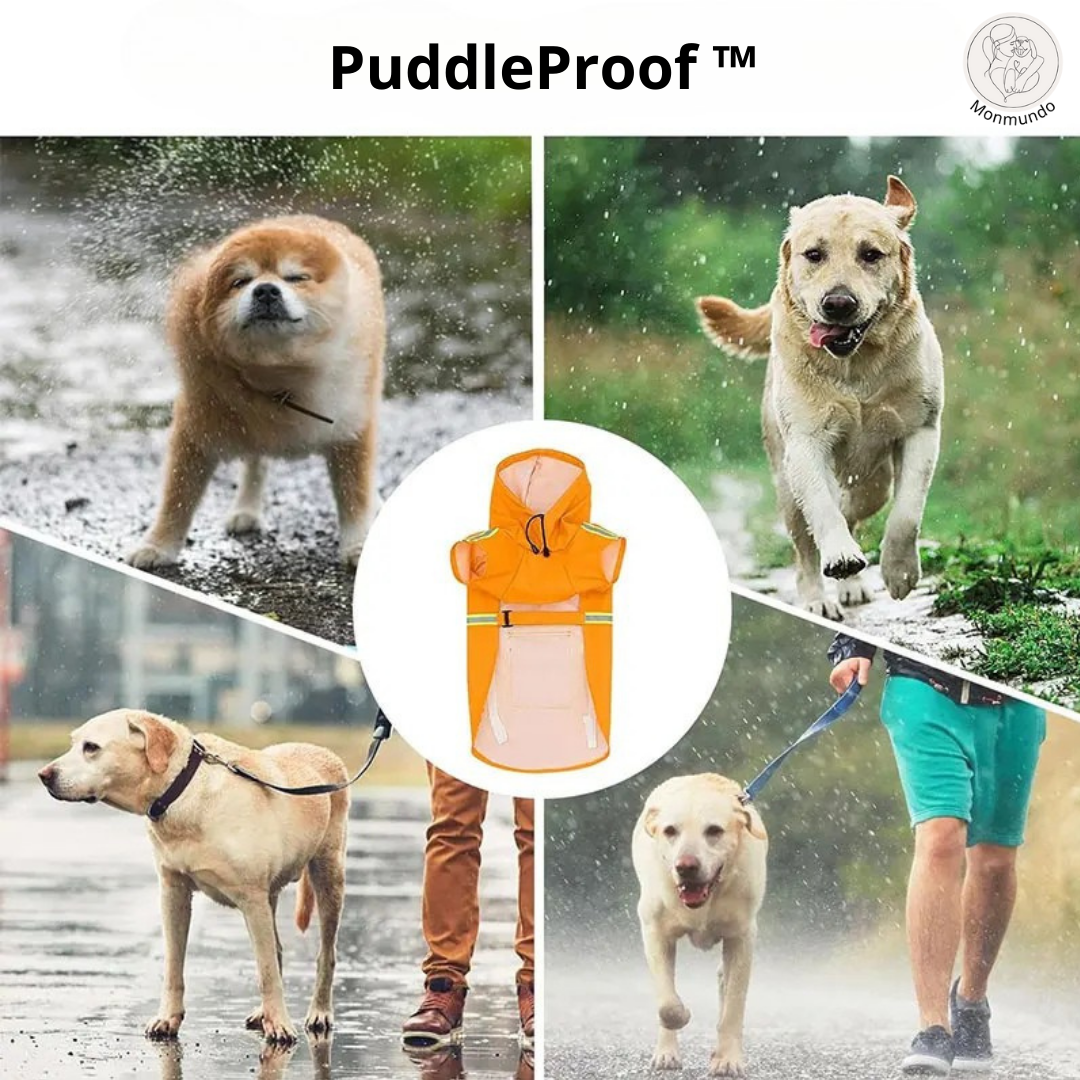 PuddleProof Hondenregenjas โ Waterdicht, Reflecterend & Comfortabel!