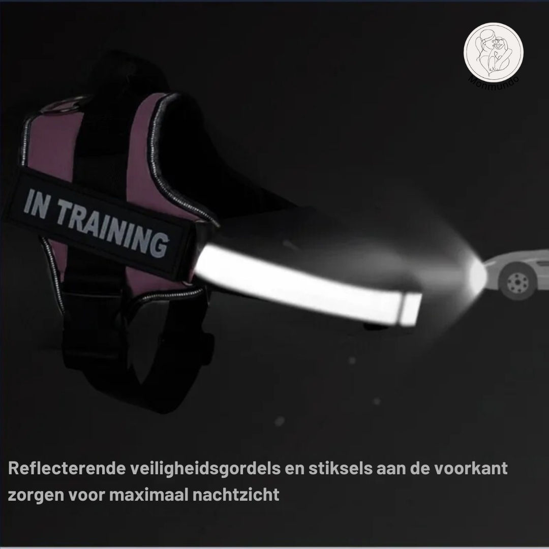 SafeGrip - Hondenharnas met naam-label