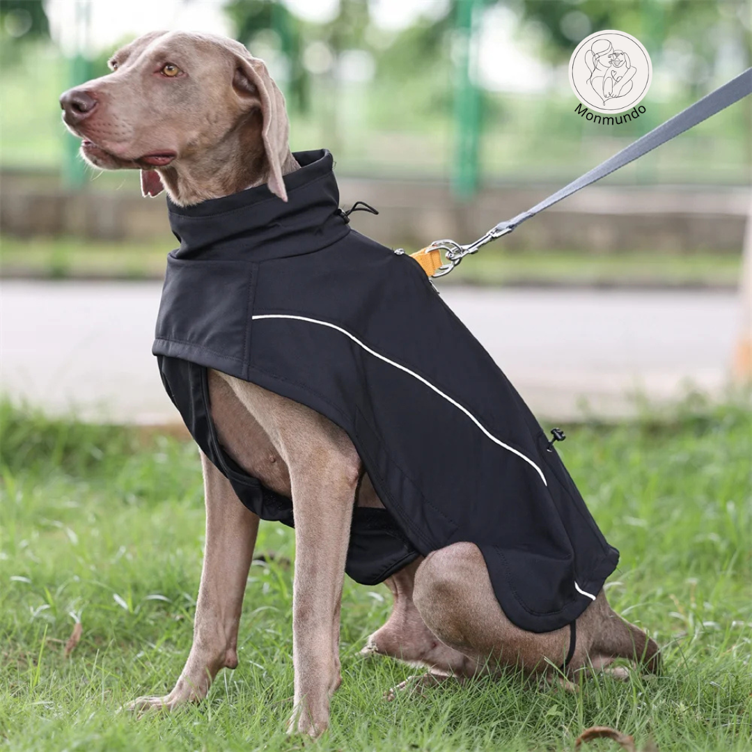 StormGuard Dog Jacket - De ultieme outdoor hondenjas voor bescherming tegen regen, wind en kou