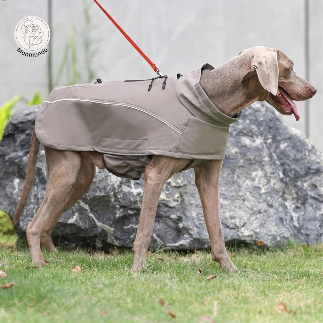 StormGuard Dog Jacket - De ultieme outdoor hondenjas voor bescherming tegen regen, wind en kou