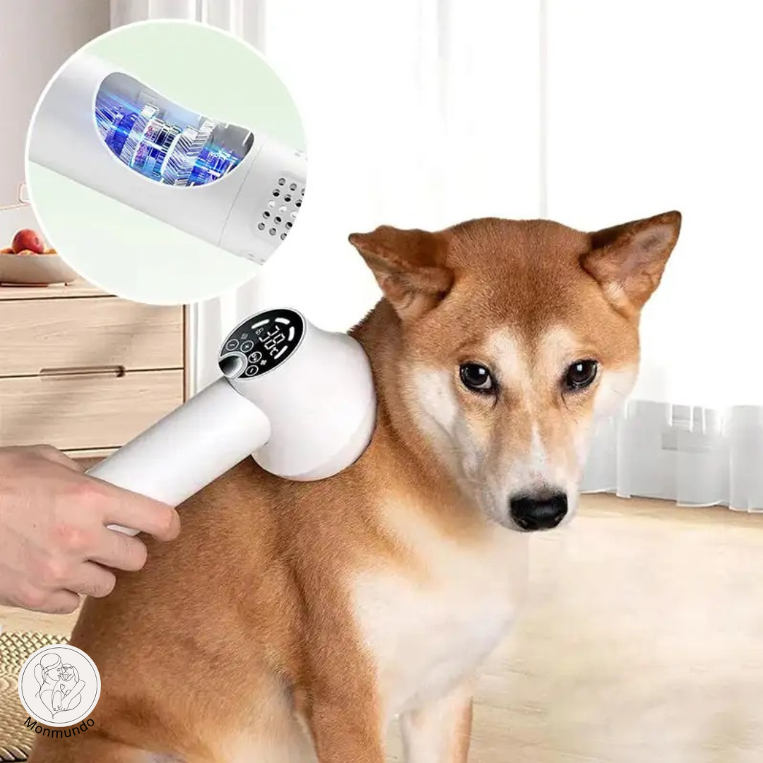SwiftGroom de 2-In-1 honden haardroger