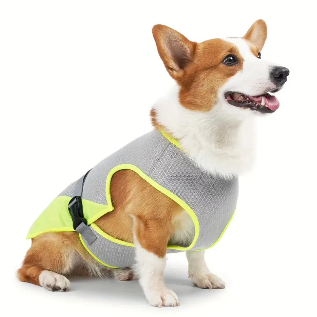 CoolPacer – Hét koelvest voor honden met UV-bescherming en ademend mesh