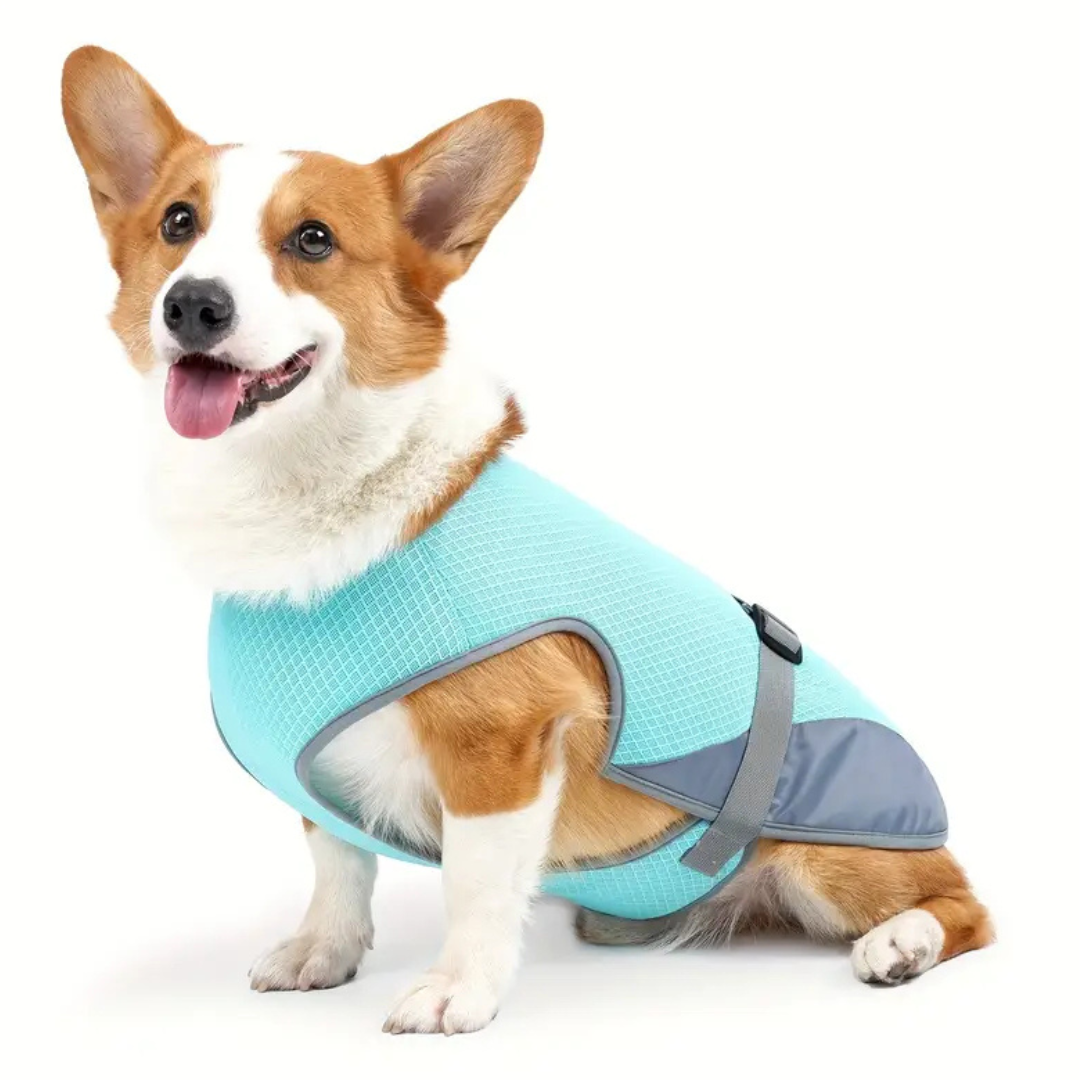 CoolPacer – Hét koelvest voor honden met UV-bescherming en ademend mesh