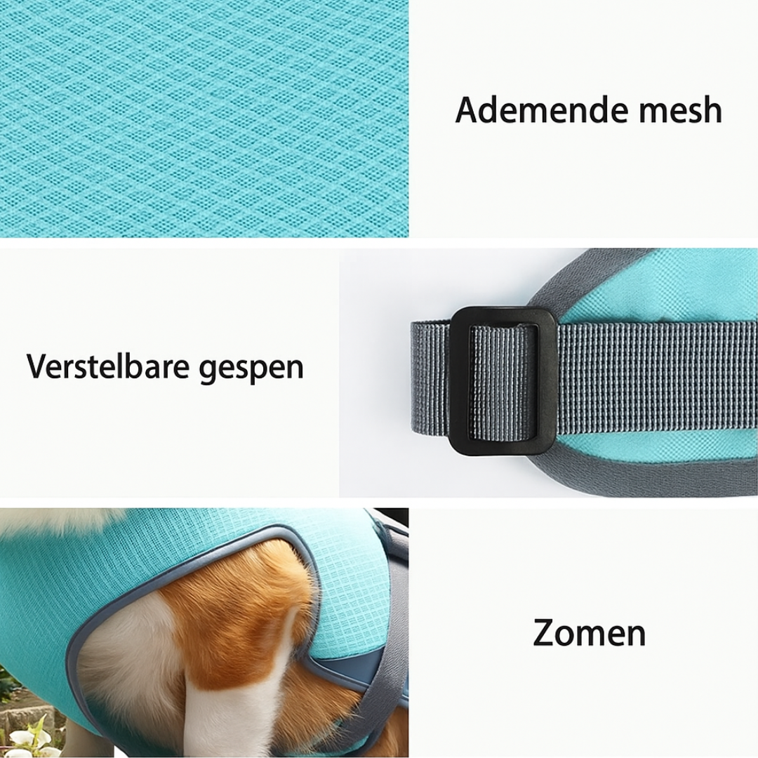 CoolPacer – Hét koelvest voor honden met UV-bescherming en ademend mesh