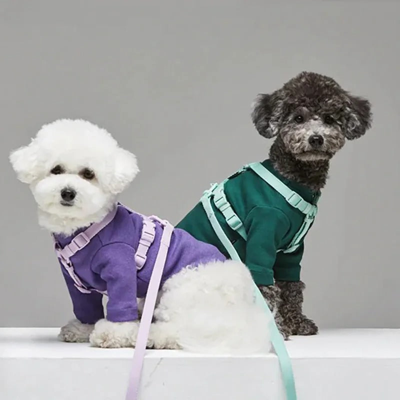CandyPaws Collection - De Perfecte Set voor Jouw Kleine Vriend