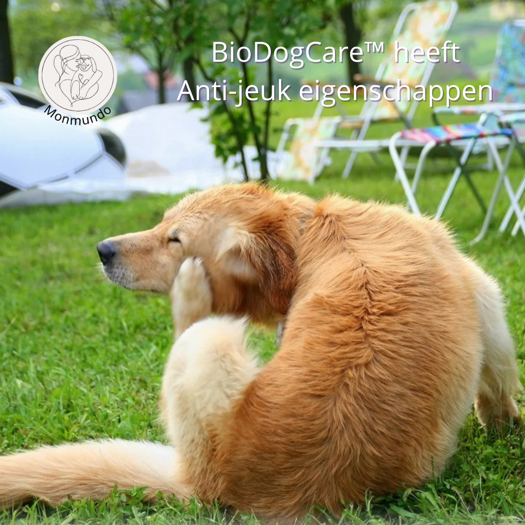 EcoDogCare Hypoallergene Biologische Honden Shampoo