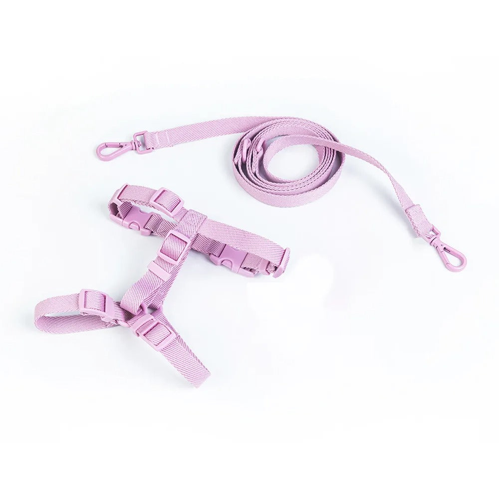 CandyPaws Collection - De Perfecte Set voor Jouw Kleine Vriend