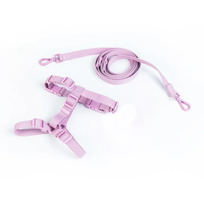 CandyPaws Collection - De Perfecte Set voor Jouw Kleine Vriend