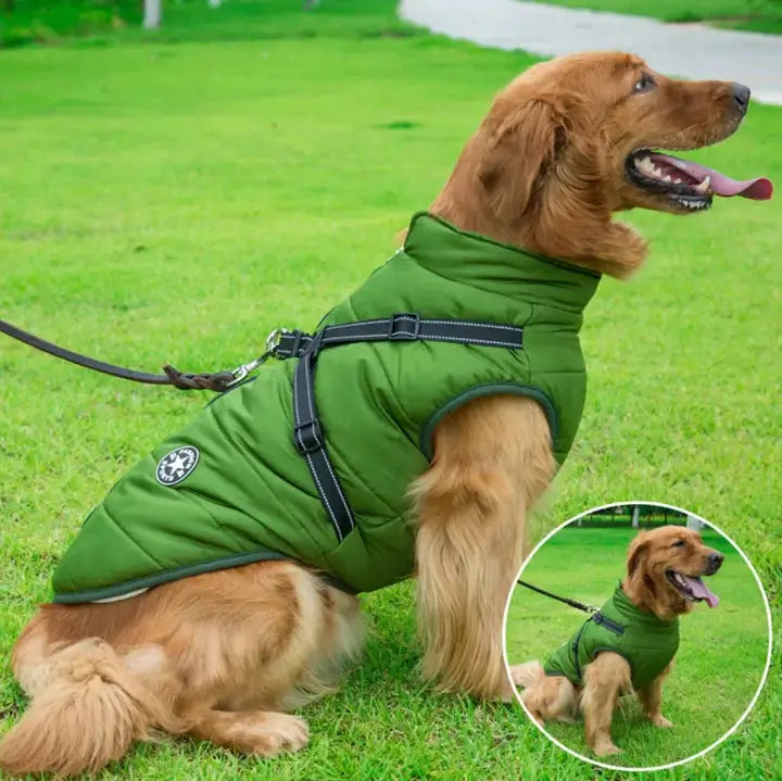 FurForce Wintervest - Bescherming en Stijl voor Koude Dagen