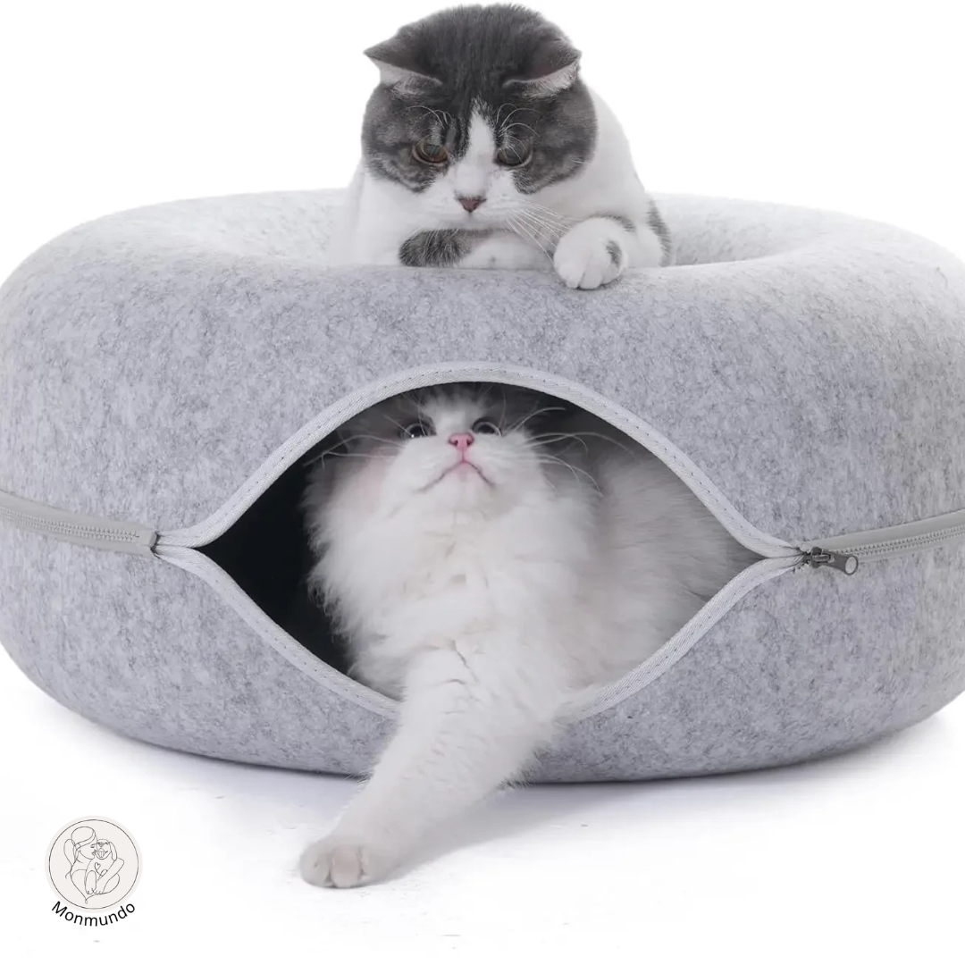 CatDonut - Spelen en Relaxen