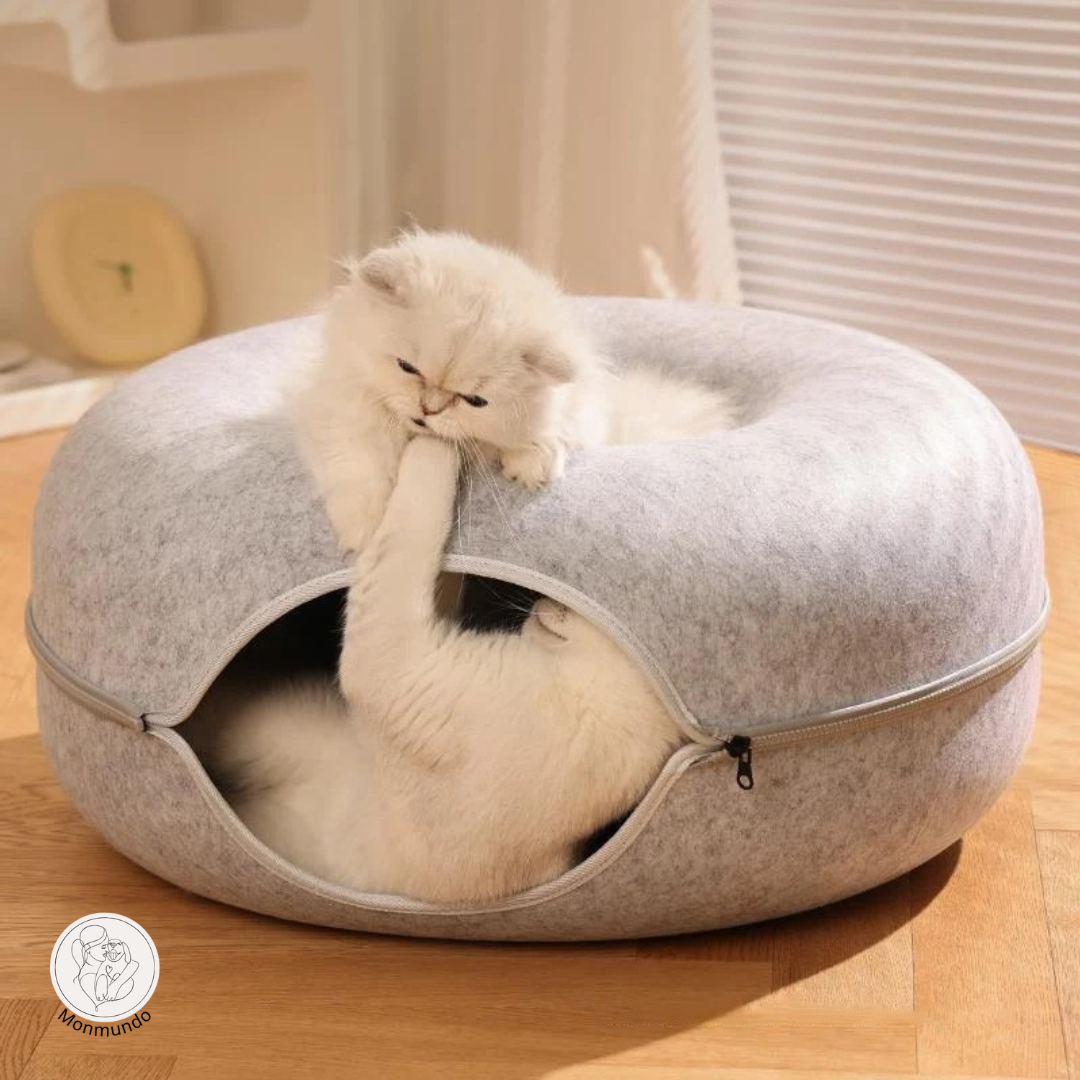CatDonut - Spelen en Relaxen