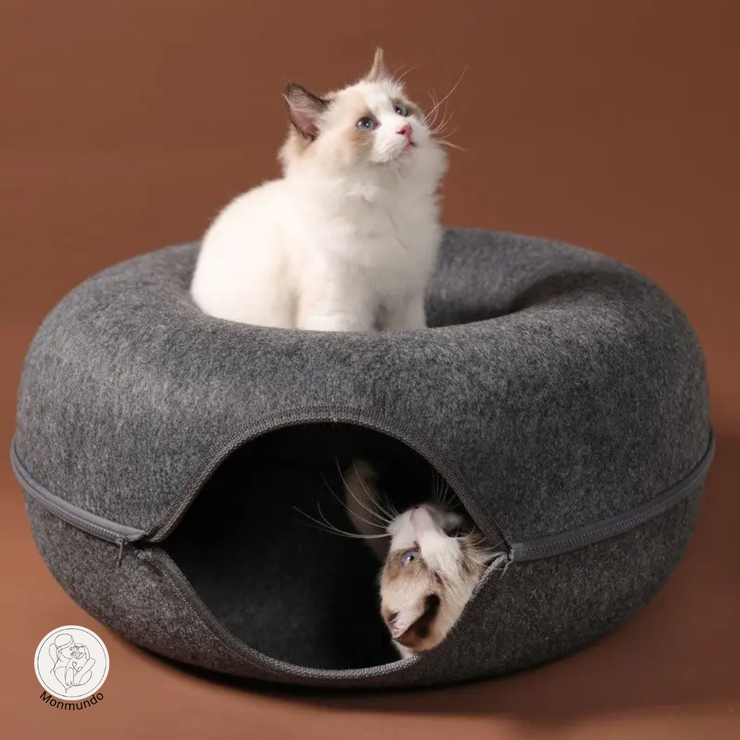 CatDonut - Spelen en Relaxen