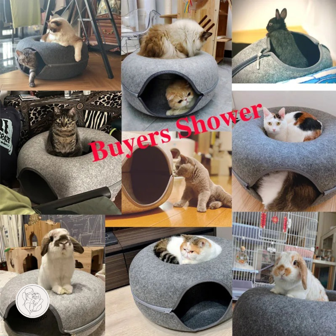 CatDonut - Spelen en Relaxen