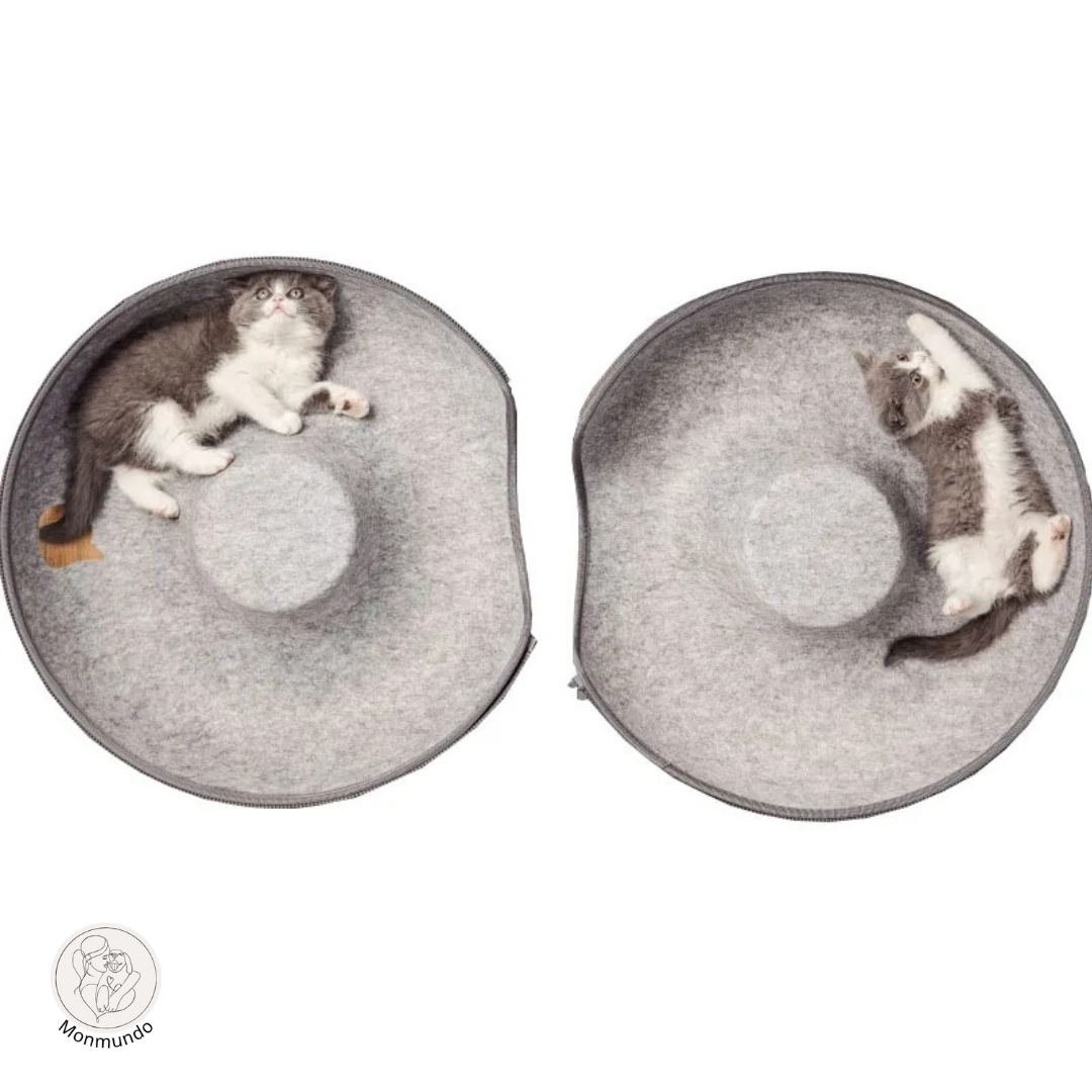 CatDonut - Spelen en Relaxen