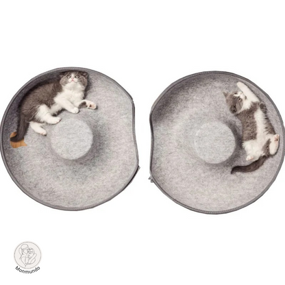 CatDonut - Spelen en Relaxen