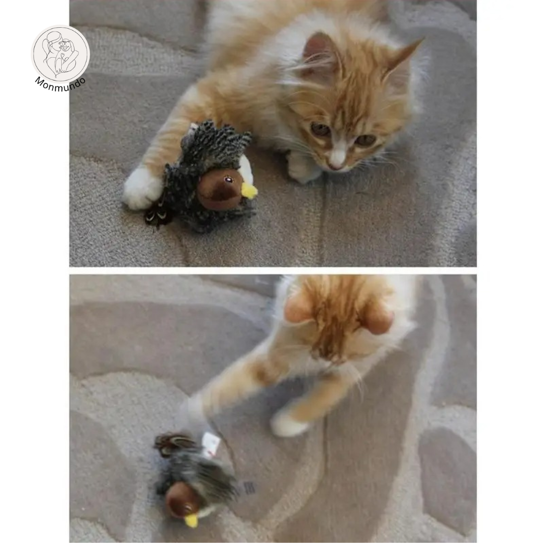 ChirpChase Realistische Vogelspeeltje voor Katten
