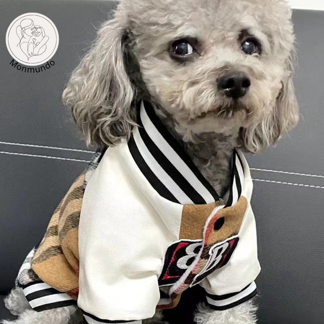 CoutureTail Baseball Jacket
