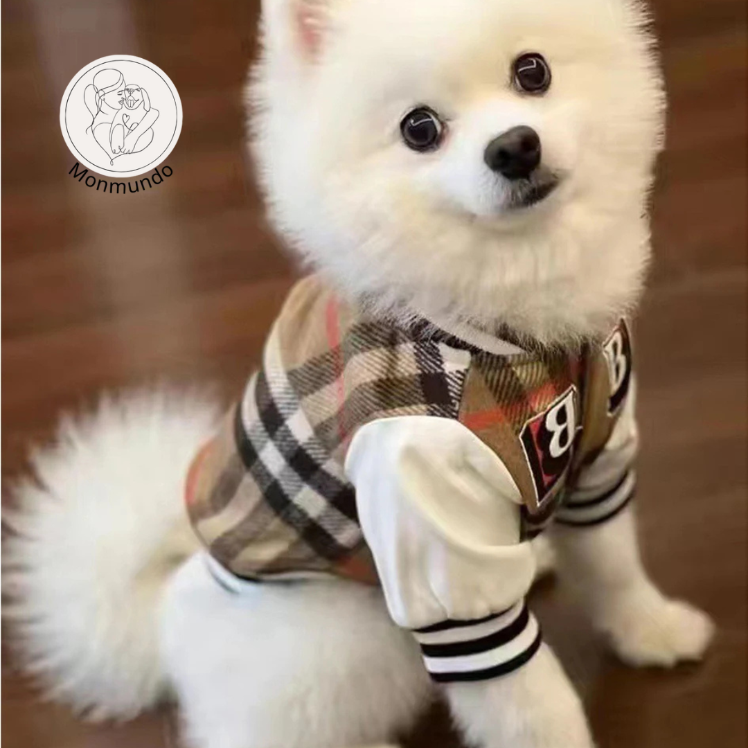 CoutureTail Baseball Jacket