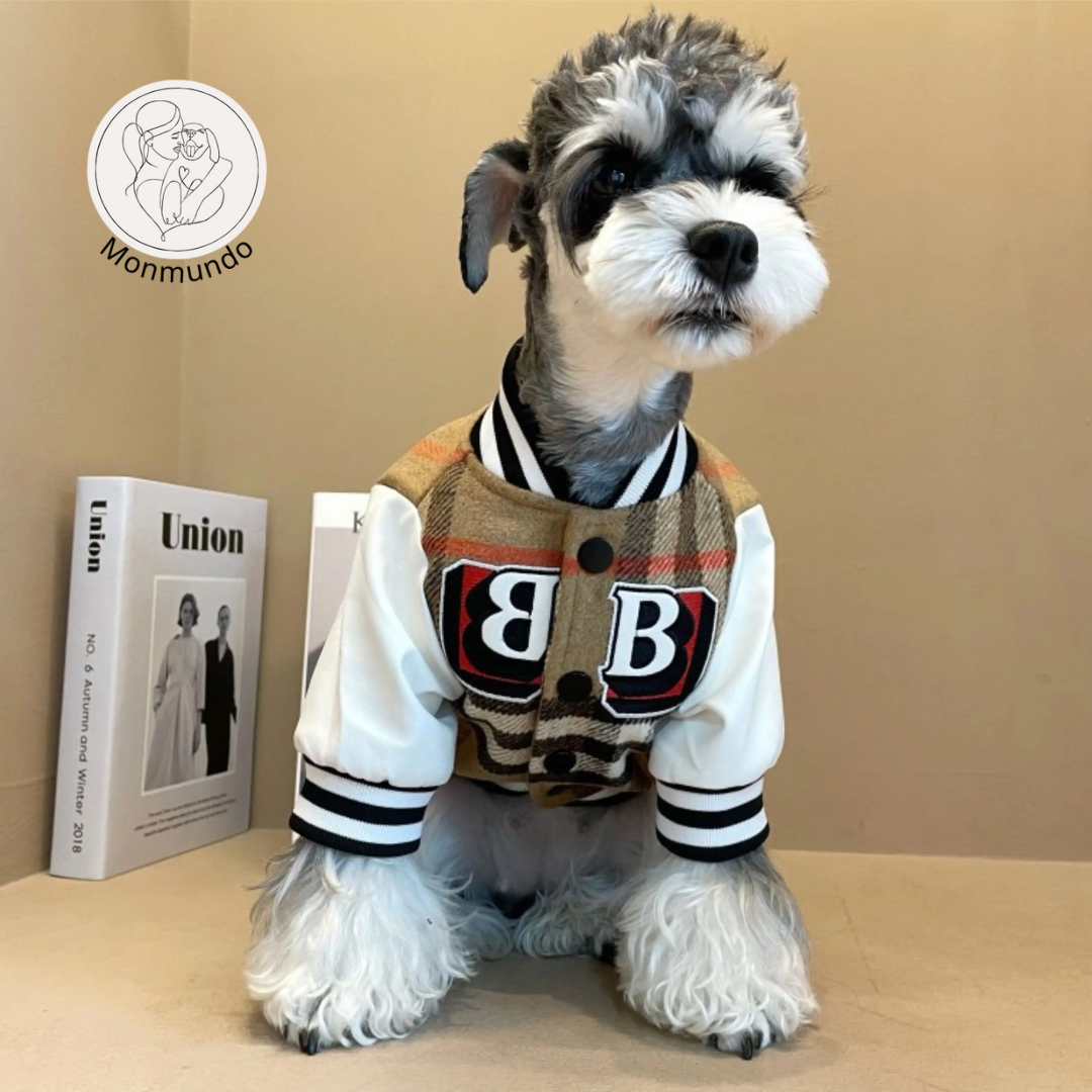CoutureTail Baseball Jacket