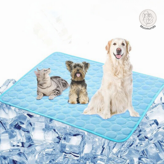 CoolMate - De nummer 1 Koelmat voor Huisdieren