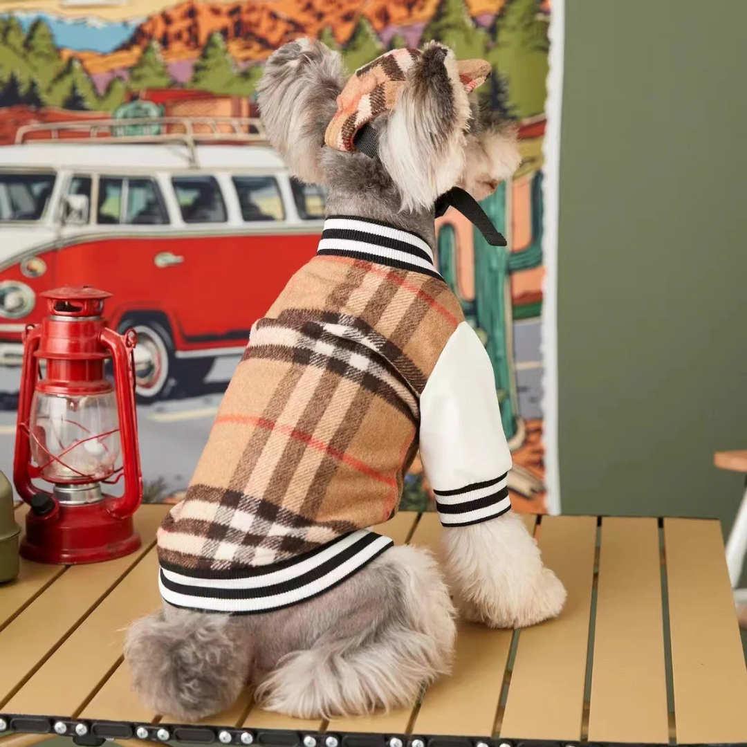 CoutureTail Baseball Jacket