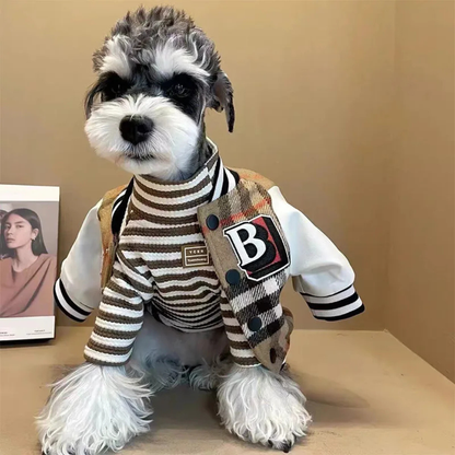 CoutureTail Baseball Jacket