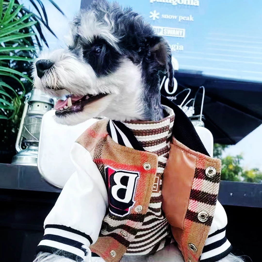 CoutureTail Baseball Jacket