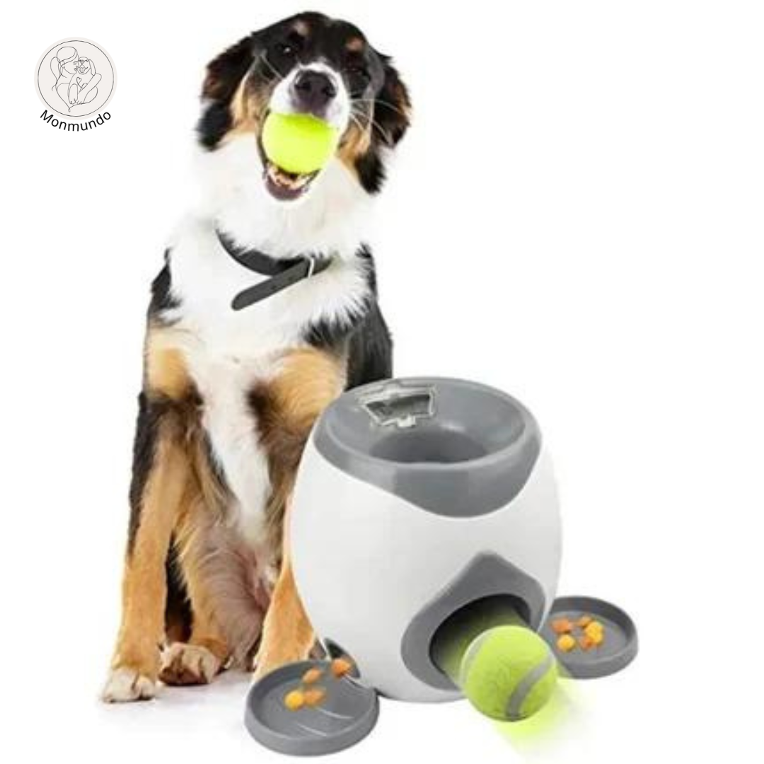 FetchMate - Automatische ballenwerper voor jouw hond