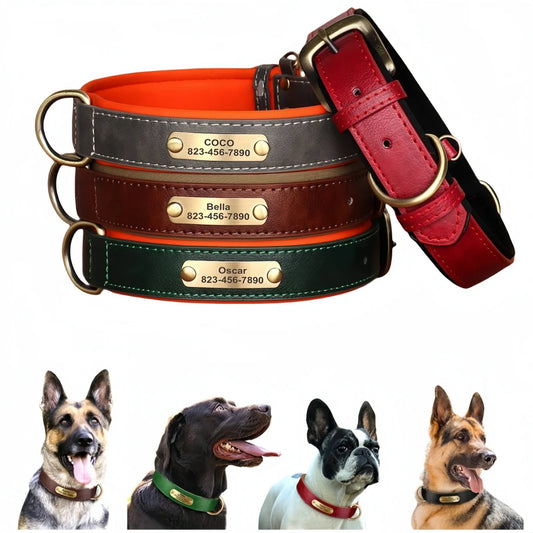 IDPaw Halsband