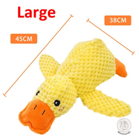 Large
