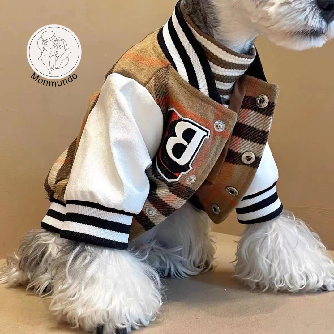 CoutureTail Baseball Jacket
