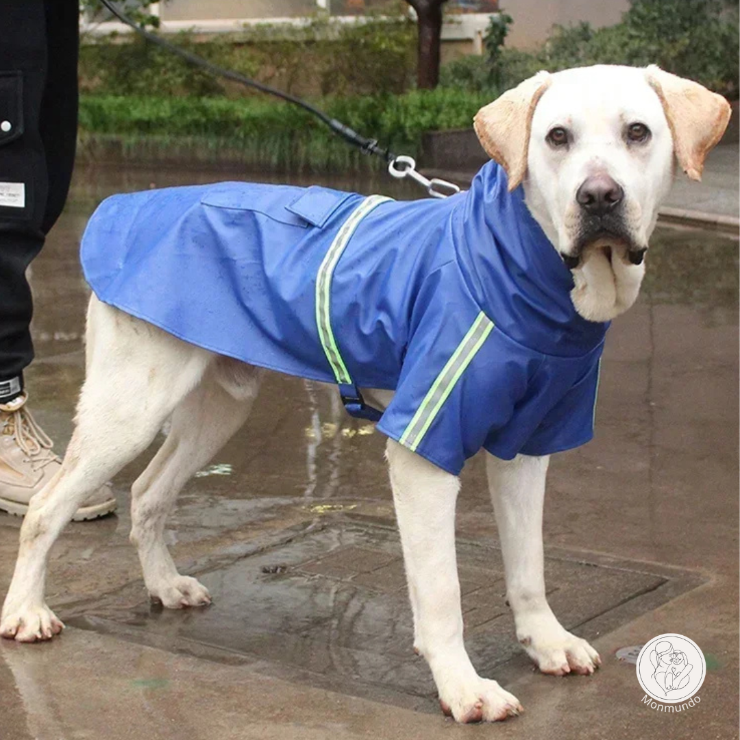 PuddleProof Hondenregenjas – Waterdicht, Reflecterend & Comfortabel!