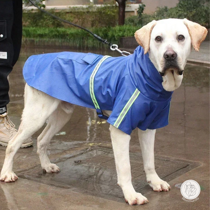 PuddleProof Hondenregenjas – Waterdicht, Reflecterend & Comfortabel!