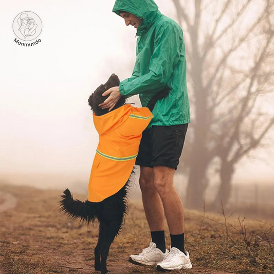 PuddleProof Hondenregenjas – Waterdicht, Reflecterend & Comfortabel!