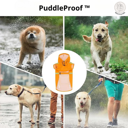 PuddleProof Hondenregenjas – Waterdicht, Reflecterend & Comfortabel!