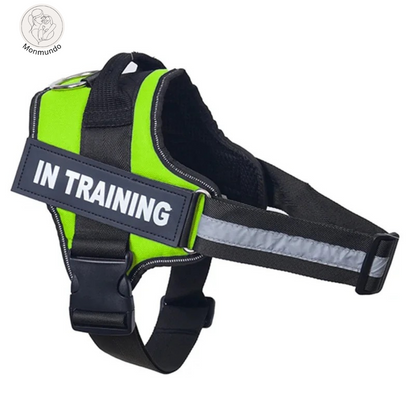 SafeGrip - Hondenharnas met naam-label