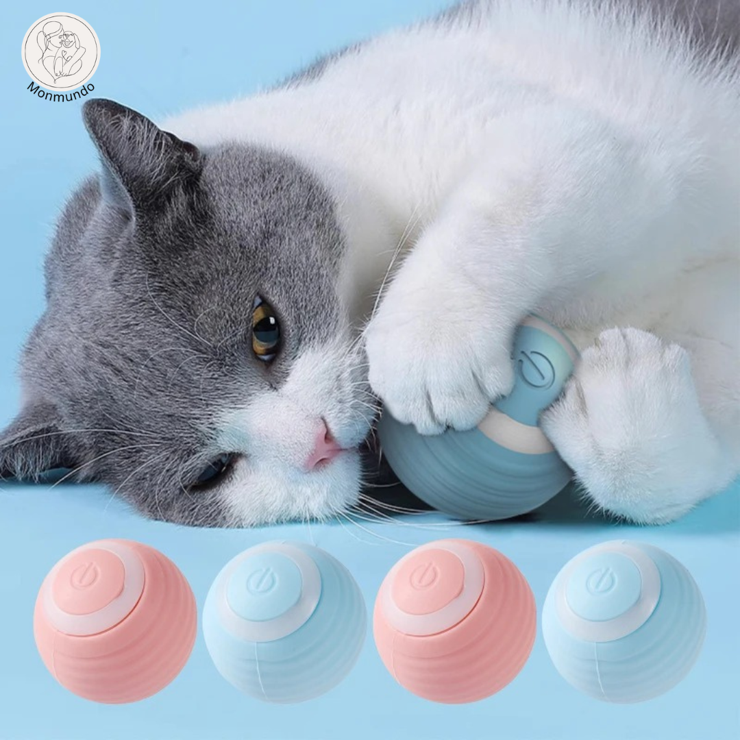 Spinny - Het favoriete speeltje van je kat!