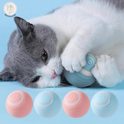 Spinny - Het favoriete speeltje van je kat!