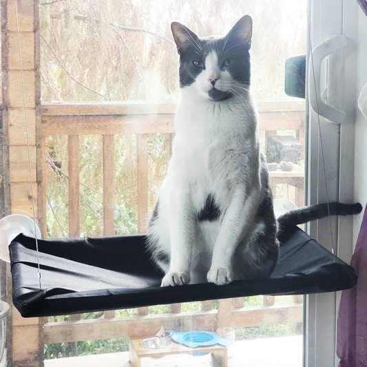 SunnyPurr Vensterhangmat